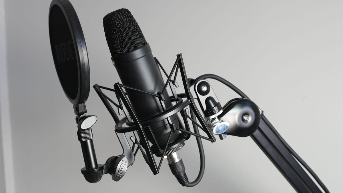 A side-address studio condenser microphone in a shockmount